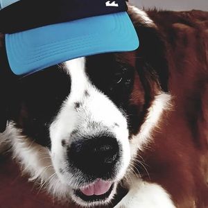 Meet your Posher, Whitney